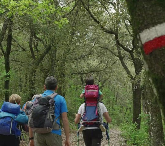 Trekking Trekking