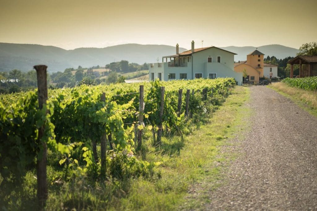 Olio e vino: viaggio nei sapori umbri