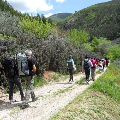 St. Francesco’s way