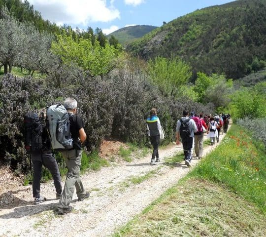 St. Francesco’s way St. Francesco’s way