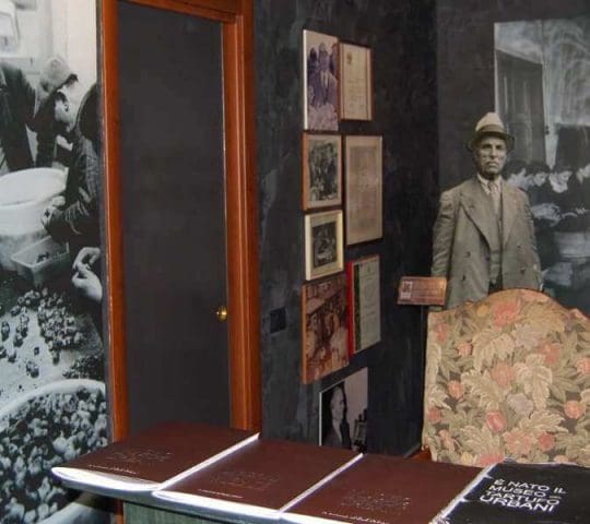 Il Museo del Tartufo di Scheggino Il Museo del Tartufo di Scheggino