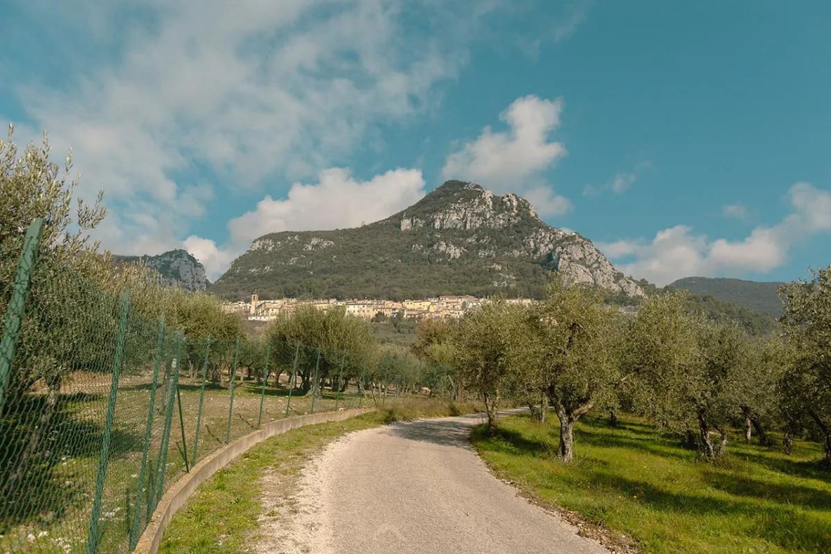 cesi-borgo1.jpg