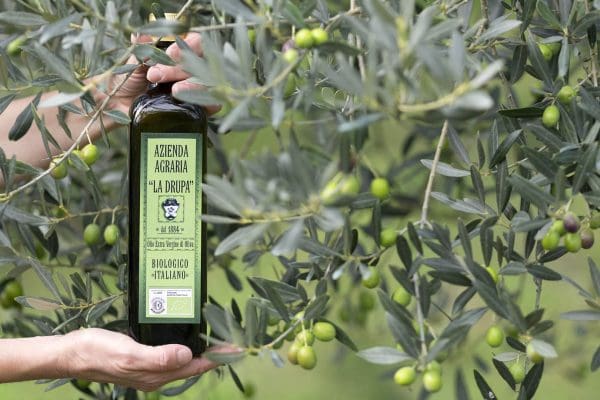 Umbria Valnerina - Ferentillo - Frantoio La Drupa - Bottiglia nell'uliveto