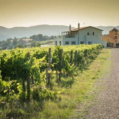 la collina incantata 1